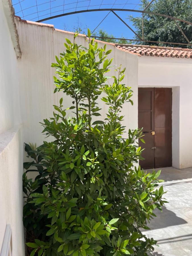 La Casita De San Nicolas 그라나다 외부 사진